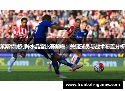 莱斯特城对阵水晶宫比赛前瞻：关键球员与战术布置分析