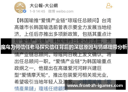 魔鸟为何信任老马探究信任背后的深层原因与情感纽带分析